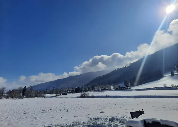 Parc Sonnleiten - A Nyaraló
